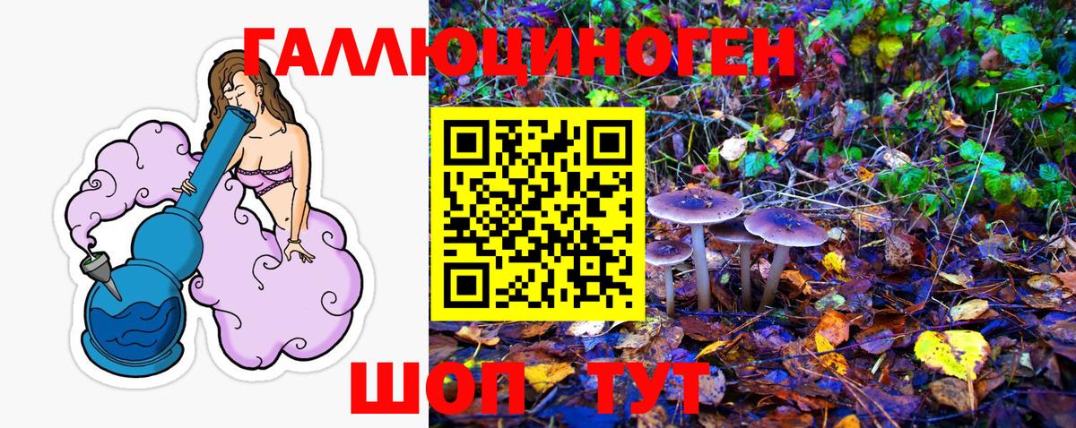 купить   Вход с VPN  Шатура  Псилоцибиновые грибы Magic Shrooms  Псилоцибиновые грибы мицелий 